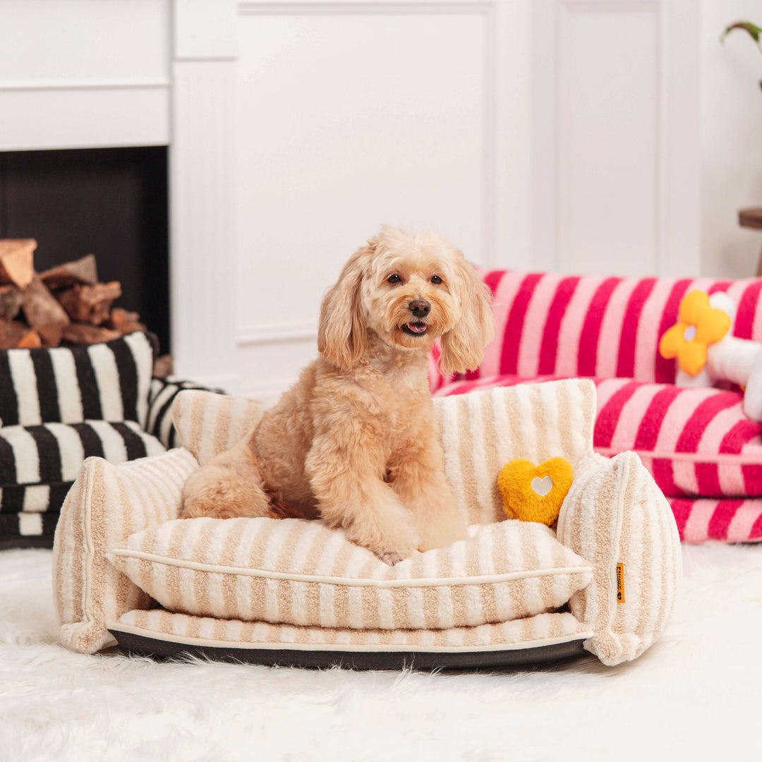 Unisex pet heart plush squeaky toy, a durable chew toy for stress relief and engaging playtime.