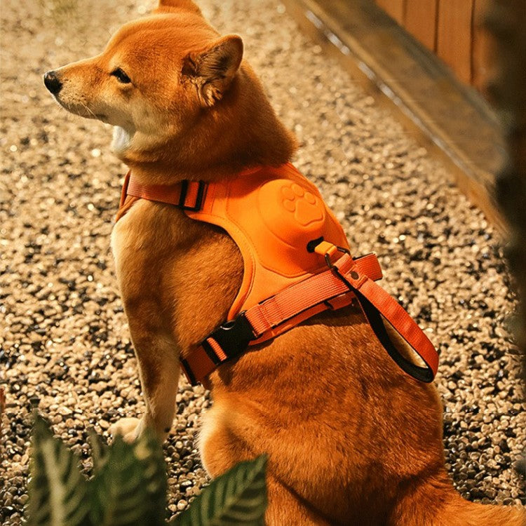 Red no-pull dog harness with breathable mesh for medium to large dogs, D-ring leash attachment