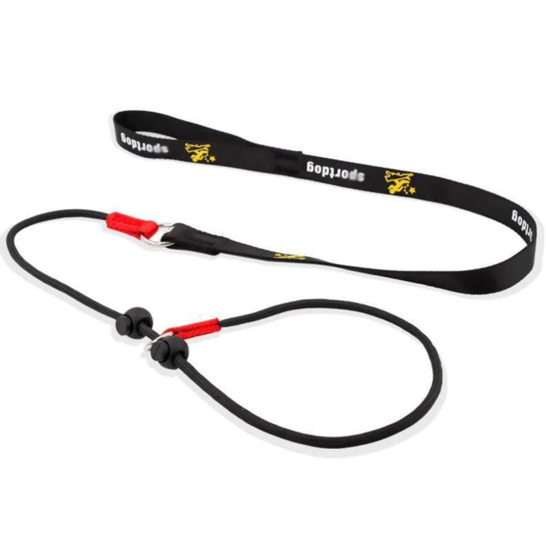 Red nylon no-pull dog training slip leash and collar for obedience