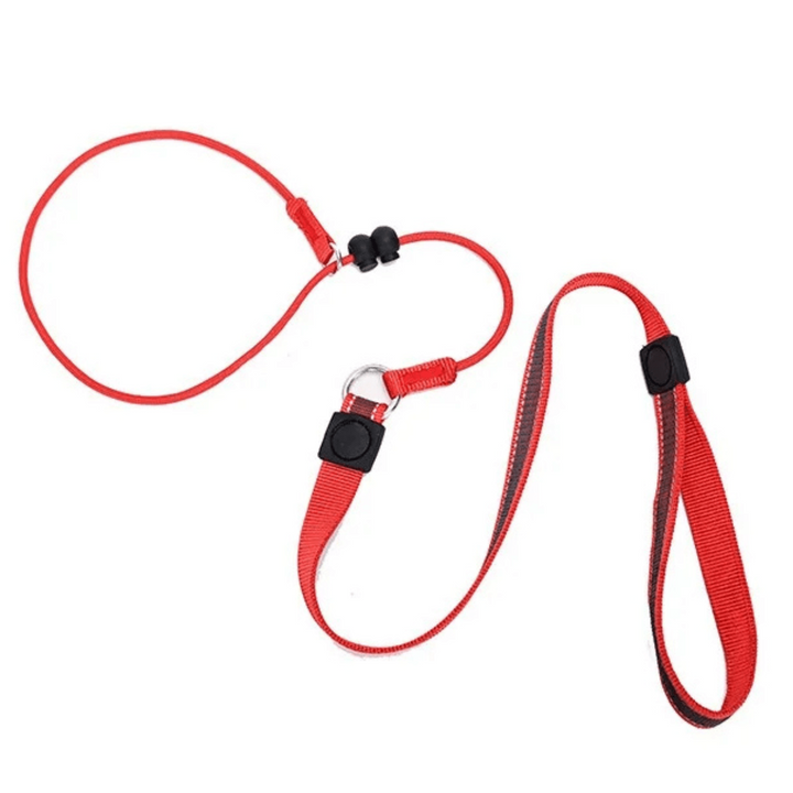Brown no-pull dog leash and collar, adjustable slip lead for pets