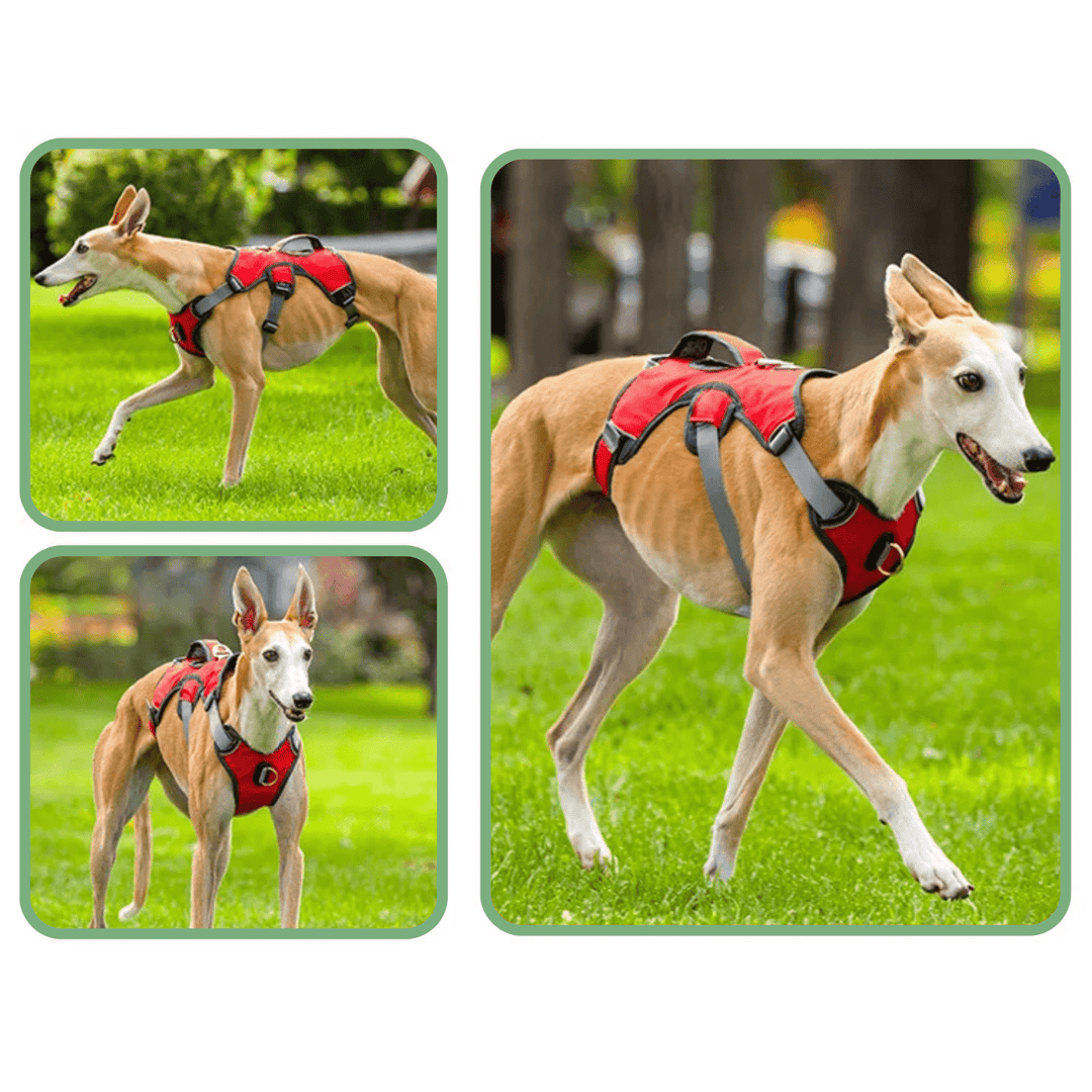 Detail of breathable mesh lining inside reflective waterproof dog harness, comfort for pets.