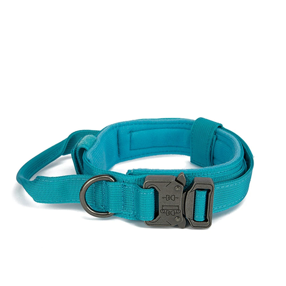 Dog wearing a tactical reflective large dog collar, quick release for easy on/off training