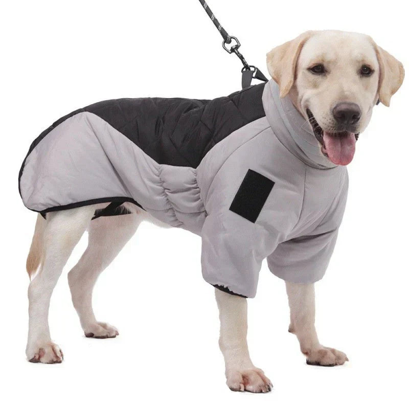 Yellow high-visibility waterproof dog jacket for outdoor adventures, adjustable fit pet apparel.
