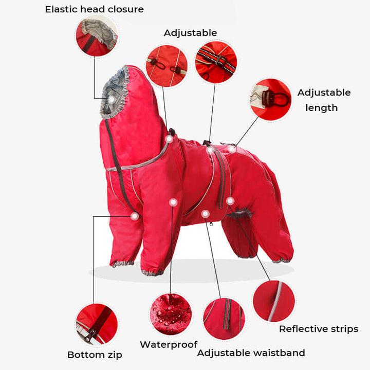 Dog wearing a waterproof pet jacket, trotting happily in an outdoor setting during light rain.