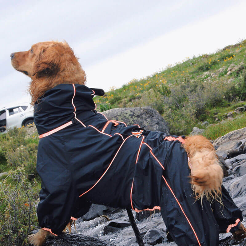 Side view of a large dog in a yellow waterproof raincoat, ready for outdoor activities.