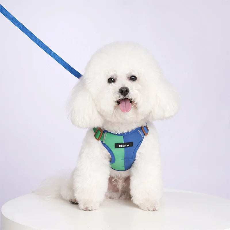 Purple reflective adjustable dog harness and leash set, perfect pet safety gear for medium dogs.