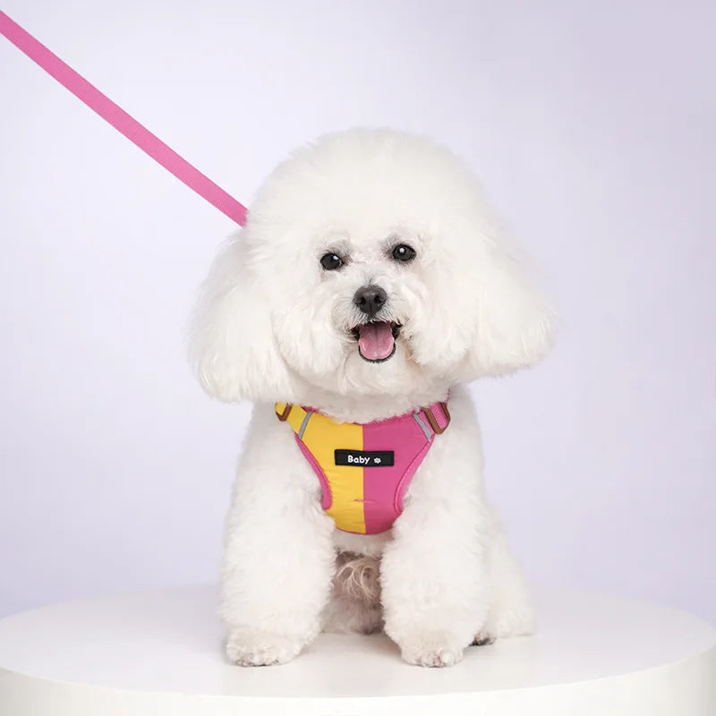 Ergonomic design of a reflective adjustable dog harness with strong leash clip for outdoor adventures.