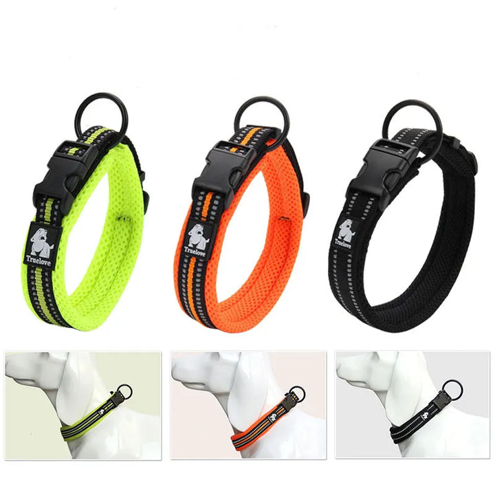 Close-up of an adjustable dog collar with reflective stitching, essential pet safety accessory.