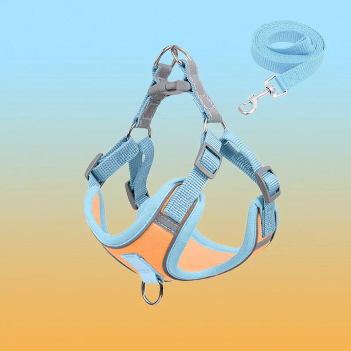 Lightweight reflective comfort puppy harness in black, easy to put on and take off