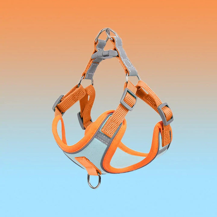Comfort puppy harness, breathable mesh, adjustable straps. Ideal for puppy training