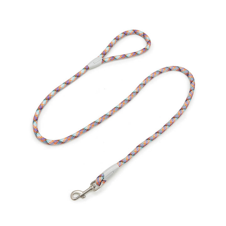 Complete pet outdoor gear: reflective dog collar and leash set for enhanced visibility