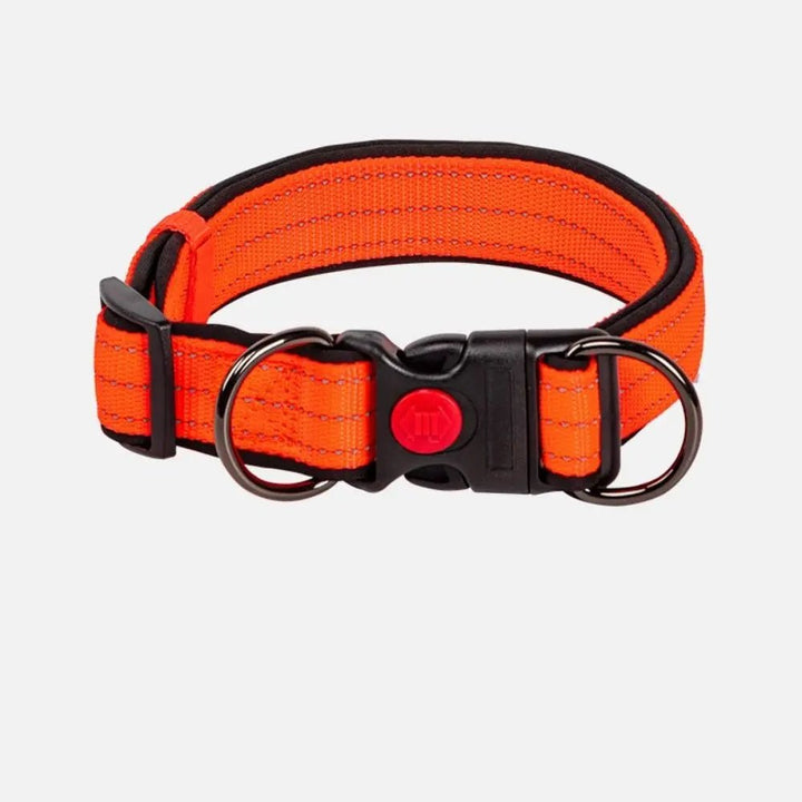 Comfortable reflective dog collar, adjustable nylon strap, neoprene padded for pet security.