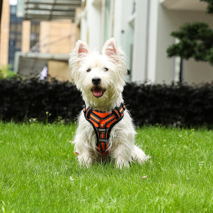 Comfortable reflective dog harness, multi-size pet vest, ideal for dog walking & outdoor activity