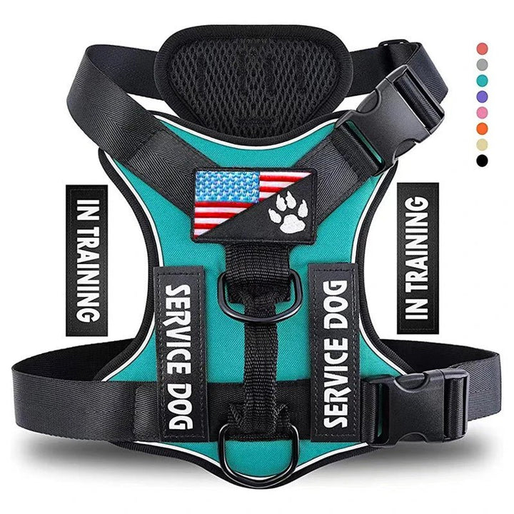 Service dog harness with 'SERVICE DOG' patch, comfortable & adjustable pet gear for working dogs