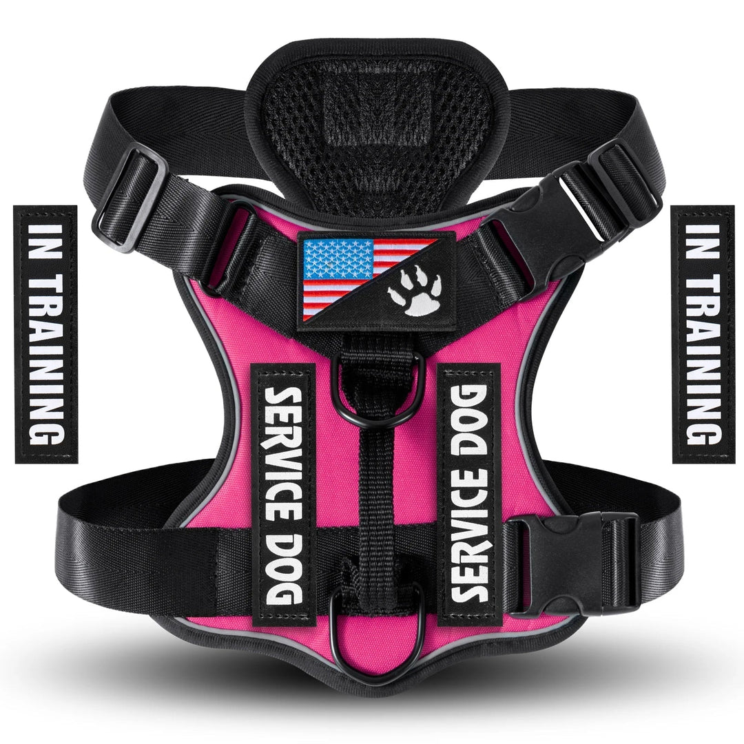 Detachable 'THERAPY DOG' patch on a durable reflective pet harness, easy-to-change dog gear