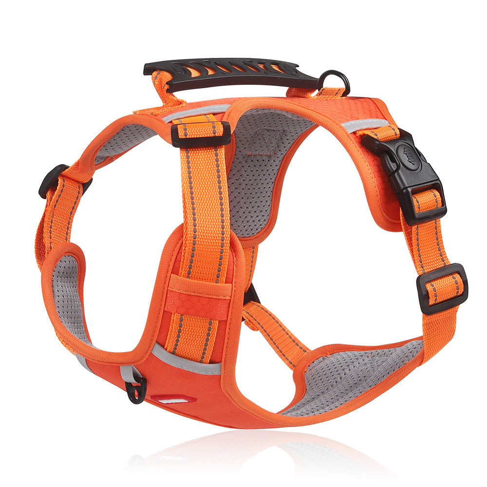 User demonstrating the easy-to-use buckles on a reflective no-pull dog harness for quick fitting