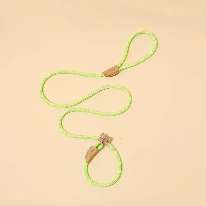 Long reflective dog leash for outdoor adventures, providing control for medium and large dogs.