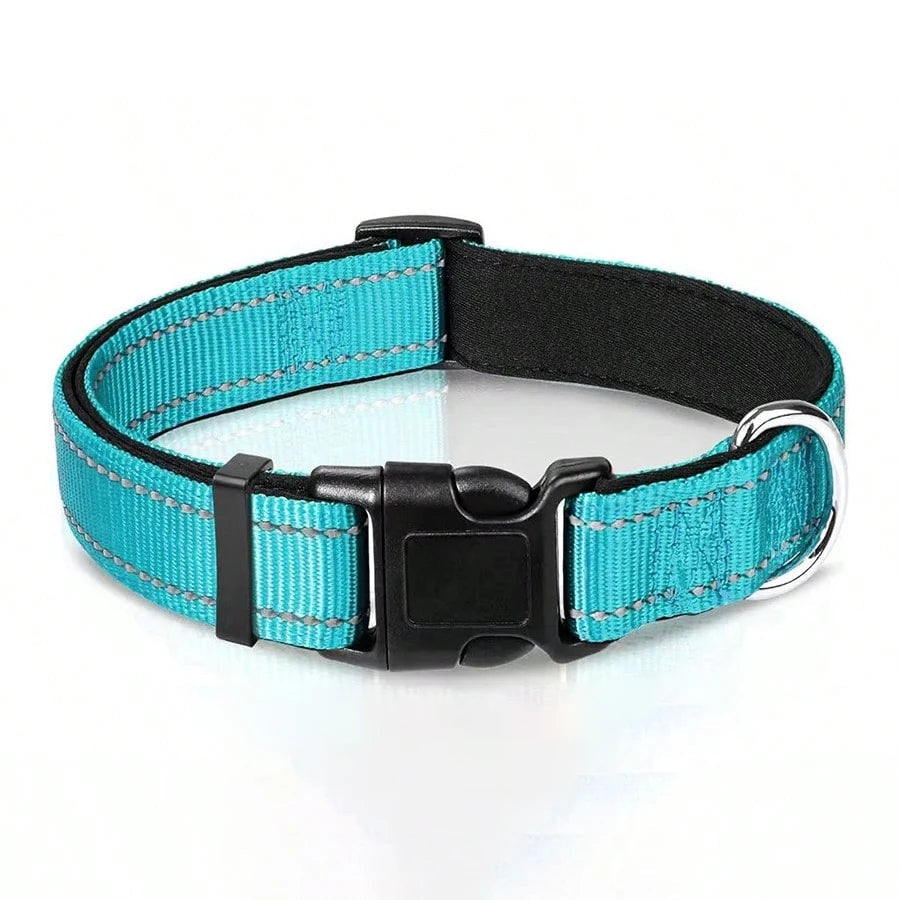 Durable reflective dog collar, padded for comfort, essential pet safety gear for active dogs.
