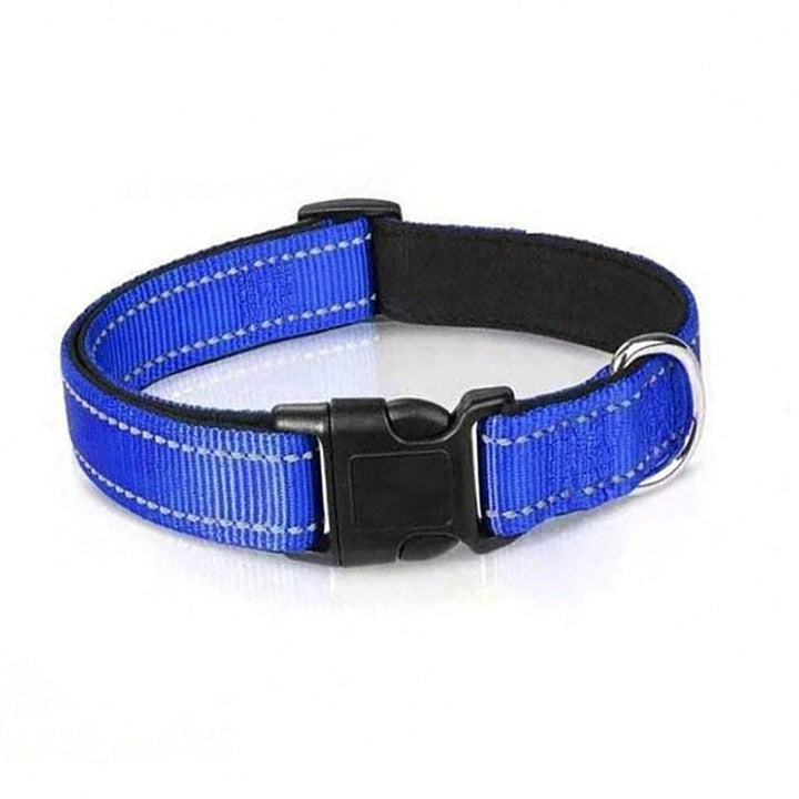 Active dog wearing a reflective padded collar, ensuring visibility and comfort during evening strolls.