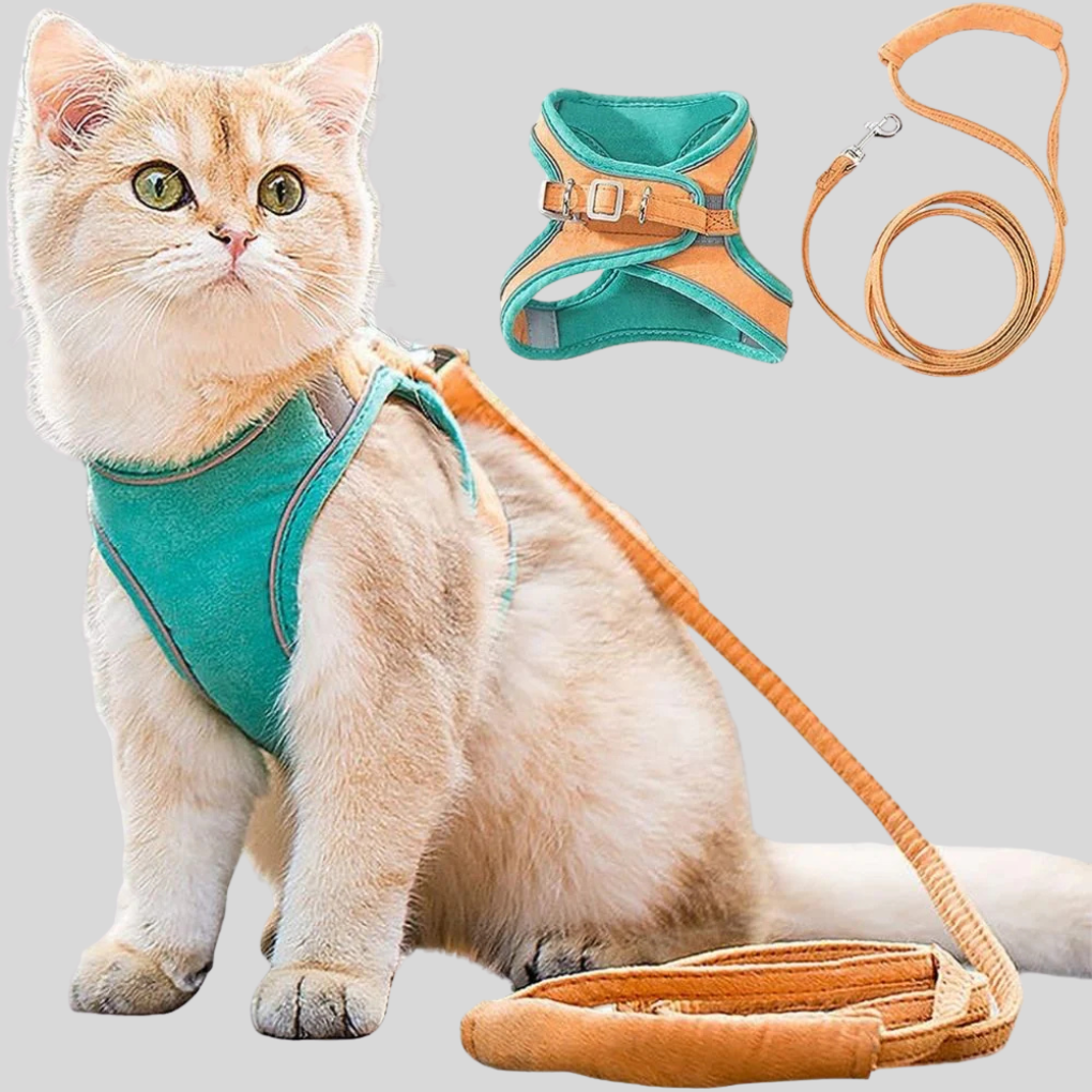 Reflective Pet Adventure Harness and Leash Set for small dogs and cats, ideal for safe outdoor walking.