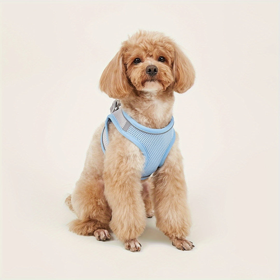 Close-up of reflective stitching on a soft mesh pet harness, ensuring visibility for small pets.