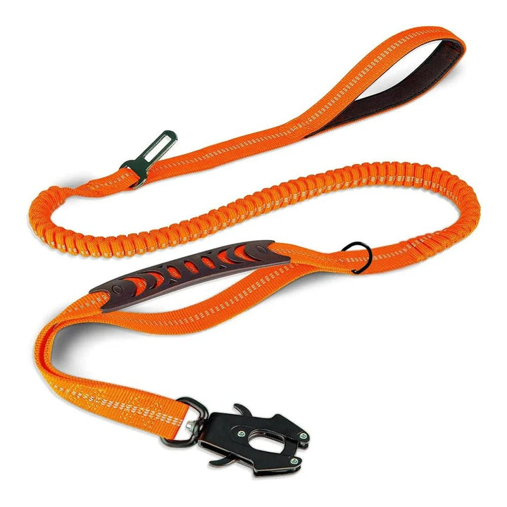 Versatile black bungee dog leash with car seat belt attachment, ideal for active dogs