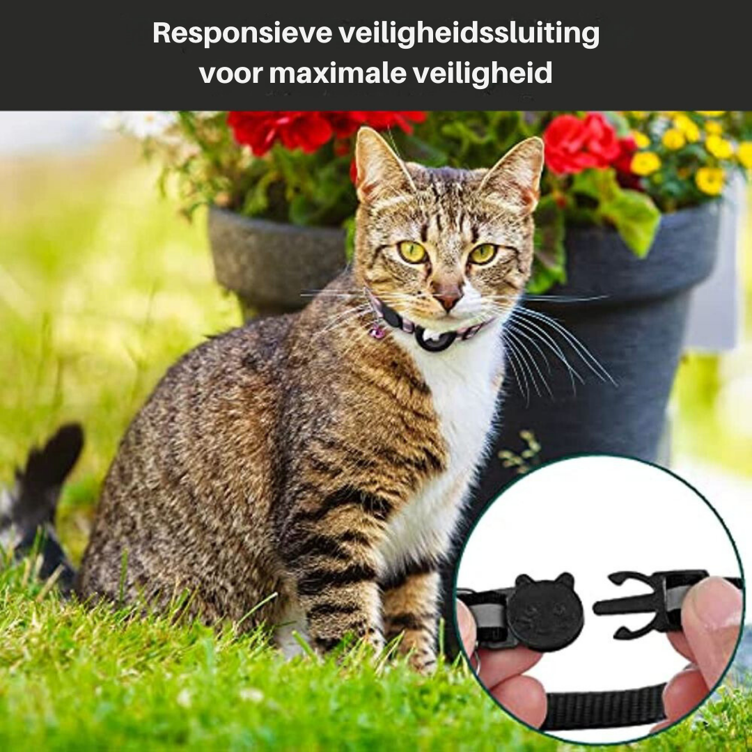 "Reflektierendes Katzenhalsband mit Sicherheitsverschluss und GPS-Halter, für erhöhte Sichtbarkeit und Schutz."