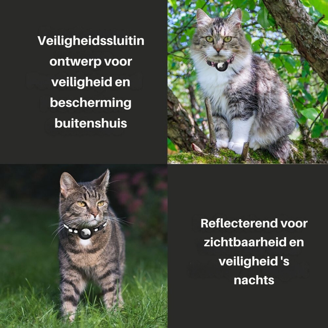 "Reflektierendes Katzenhalsband mit Sicherheitsverschluss und GPS-Halter, für erhöhte Sichtbarkeit und Schutz."