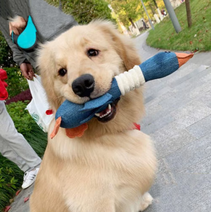"Robustes langlebiges Hundespielzeug in Blau und Braun, ideal für Kauen und Zerren, hält starker Beanspruchung stand."