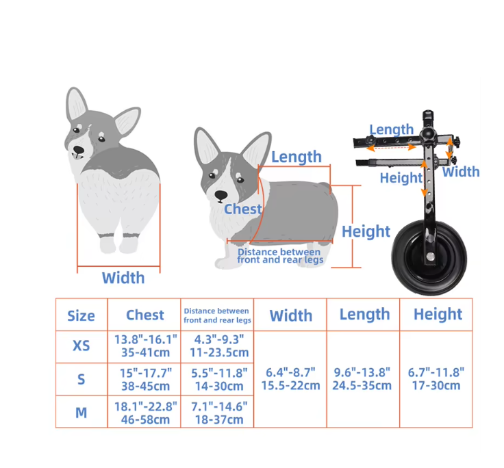 "Rollstuhl für Tiere – Mobilitätshilfe für Hunde und Katzen, leicht verstellbarer Rahmen, unterstützt Bewegung und Komfort."