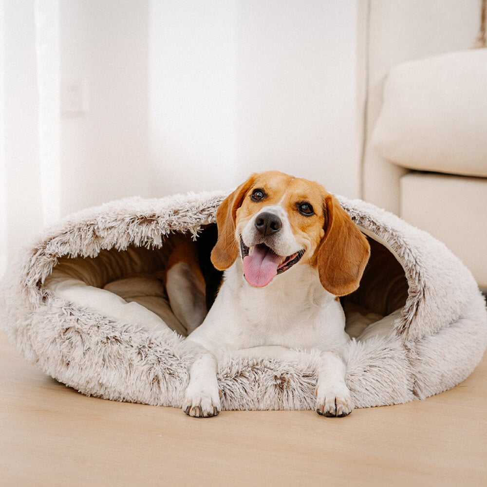 Semi-enclosed plush dog bed, calming and cozy for anxiety relief. Pet supplies.