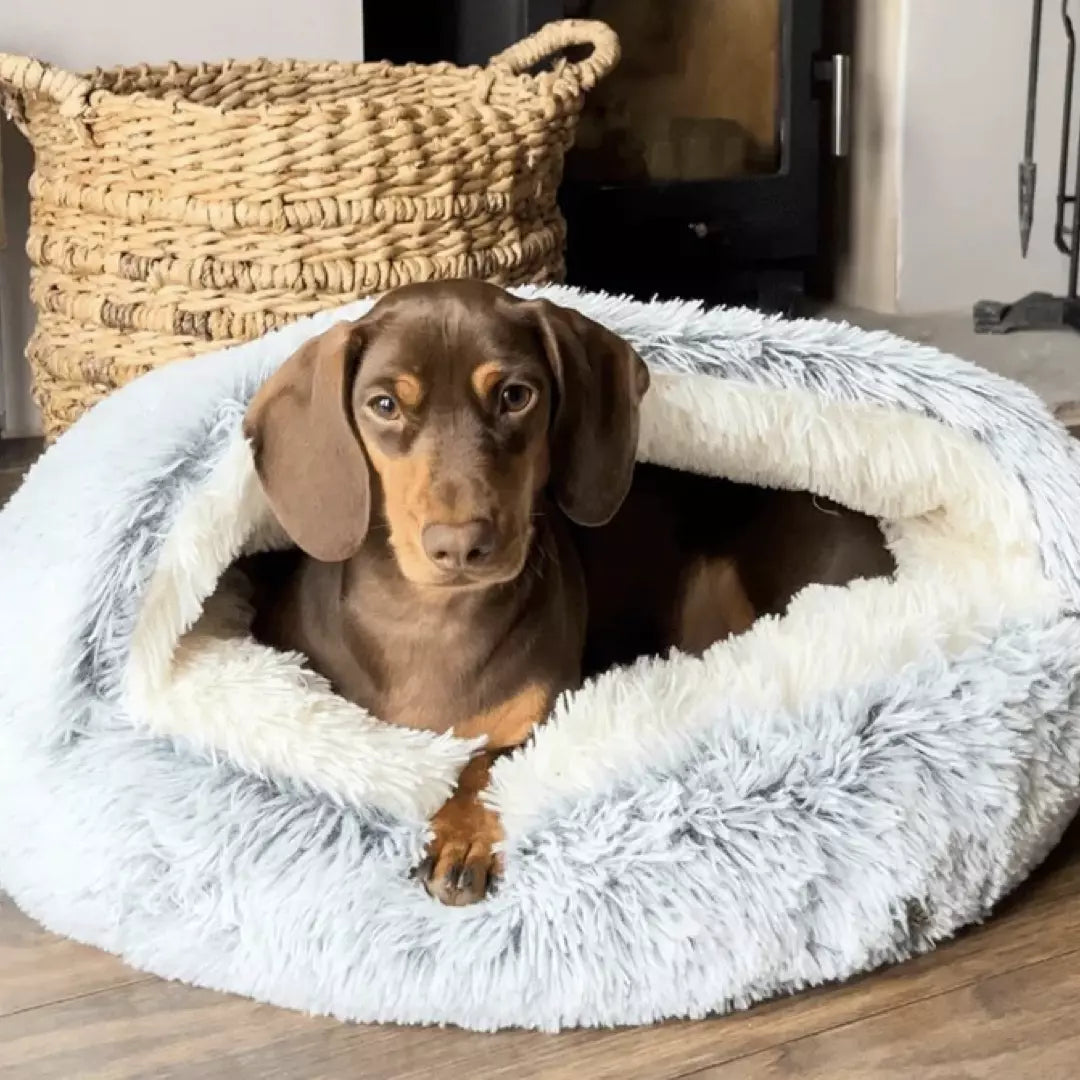 Machine washable self-warming pet bed, a faux fur half-cave providing comfort and anxiety relief for small dogs.