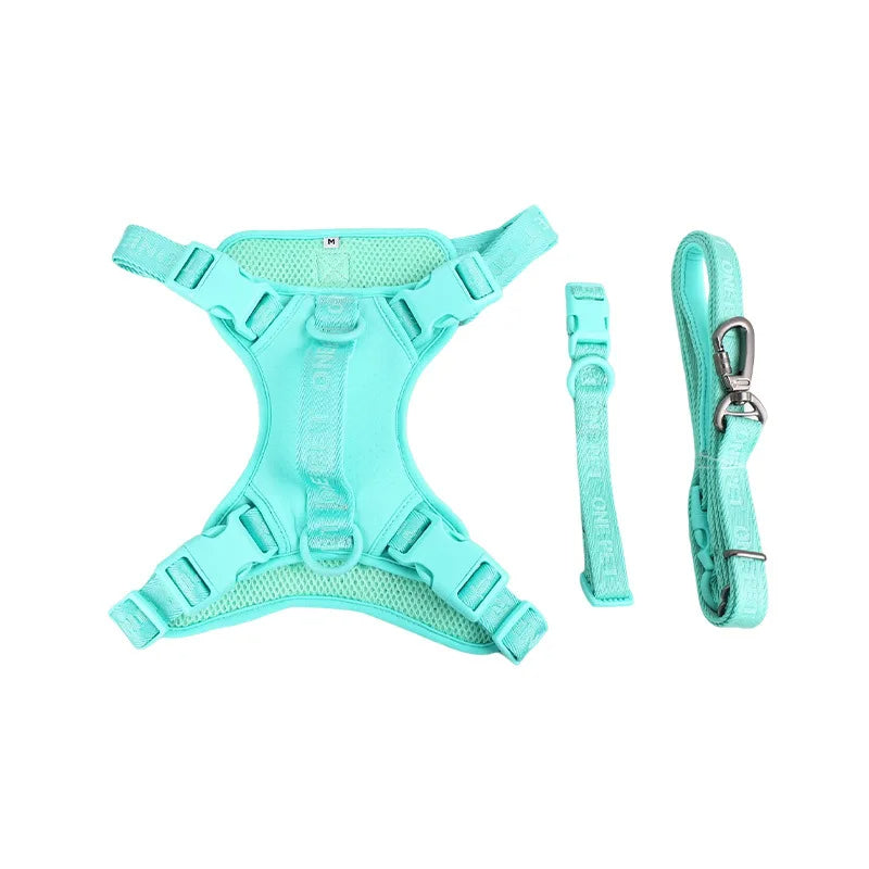 Complete small dog harness and leash set featuring a charming daisy pattern for walks