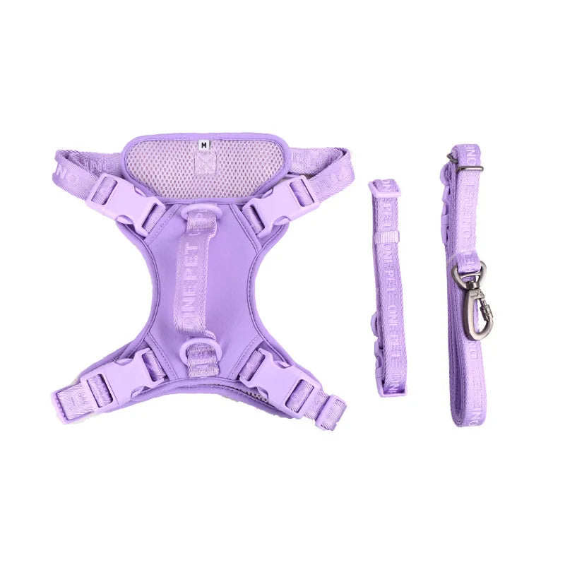 Fashionable small dog daisy harness and leash combo, perfect for daily walks and outdoor adventures