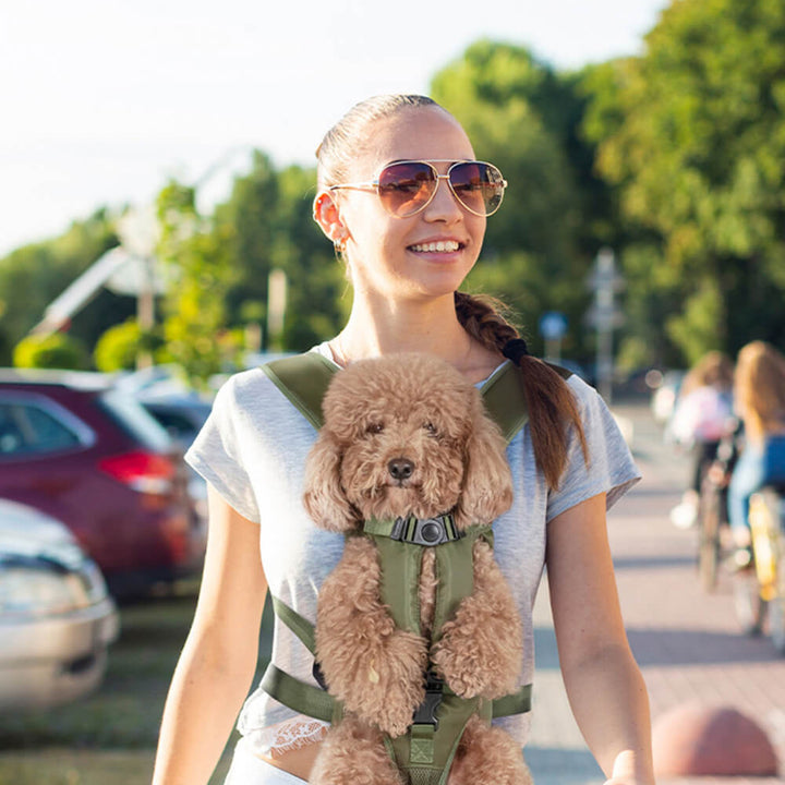 Blue dog carrier backpack for small pets, featuring breathable design and secure closures