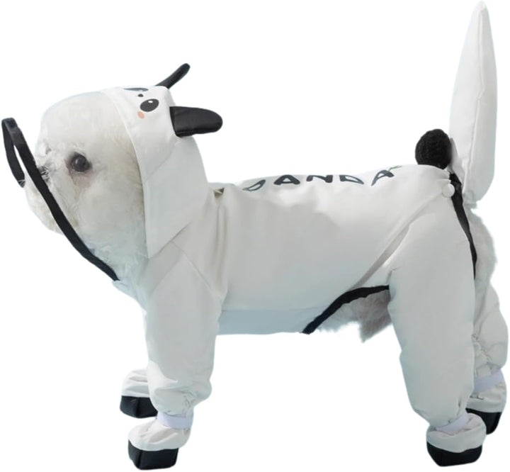 Puppy wearing a transparent pet raincoat and four waterproof dog boots on a wet street
