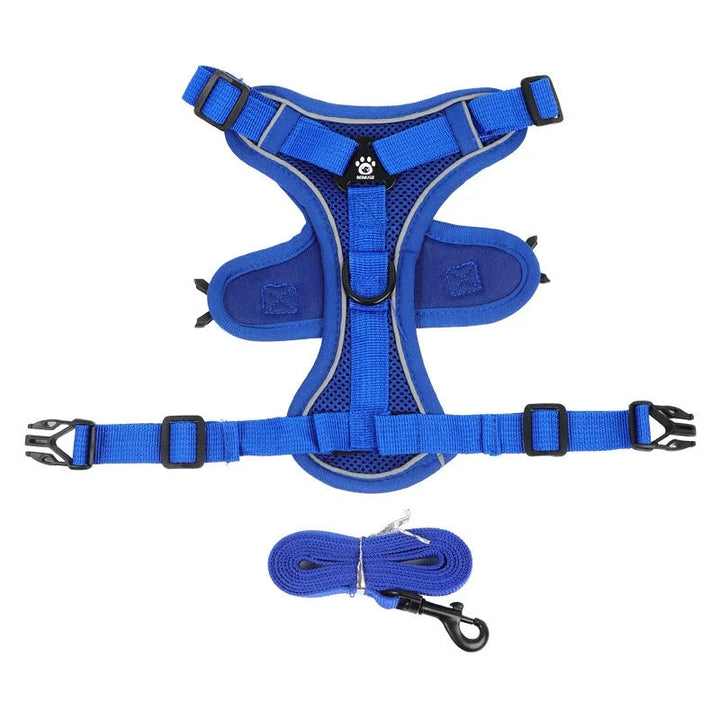 Durable reflective no-pull dog harness and leash, ideal for small dogs' daily walks and outdoor activities.