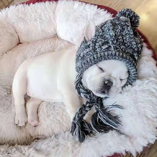 Yellow knit dog hat with a pom-pom and ear holes, ideal pet accessory for cold weather.