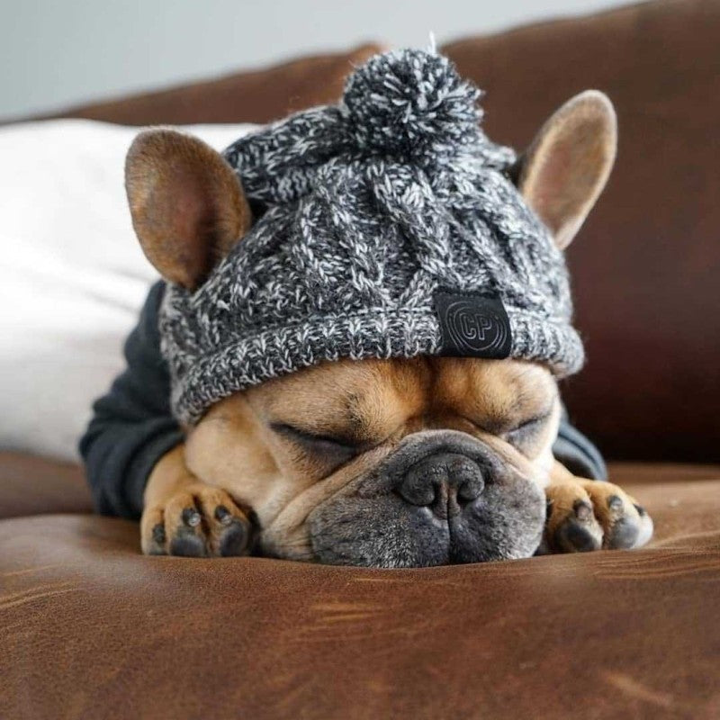 Brown knit winter hat for dogs featuring a cute pom-pom, essential pet apparel.