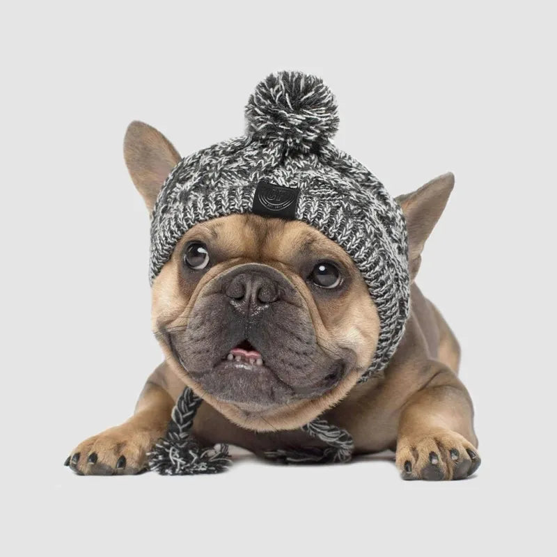 Dog fashion: yellow knitted winter hat with a bouncy pom-pom, warm and stylish.