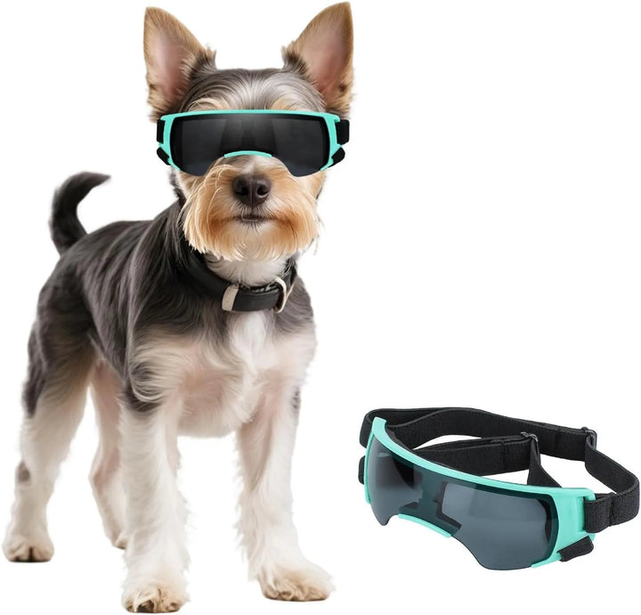 Small pet UV protective goggles for dogs, offering eye protection & sun safety during outdoor activities.
