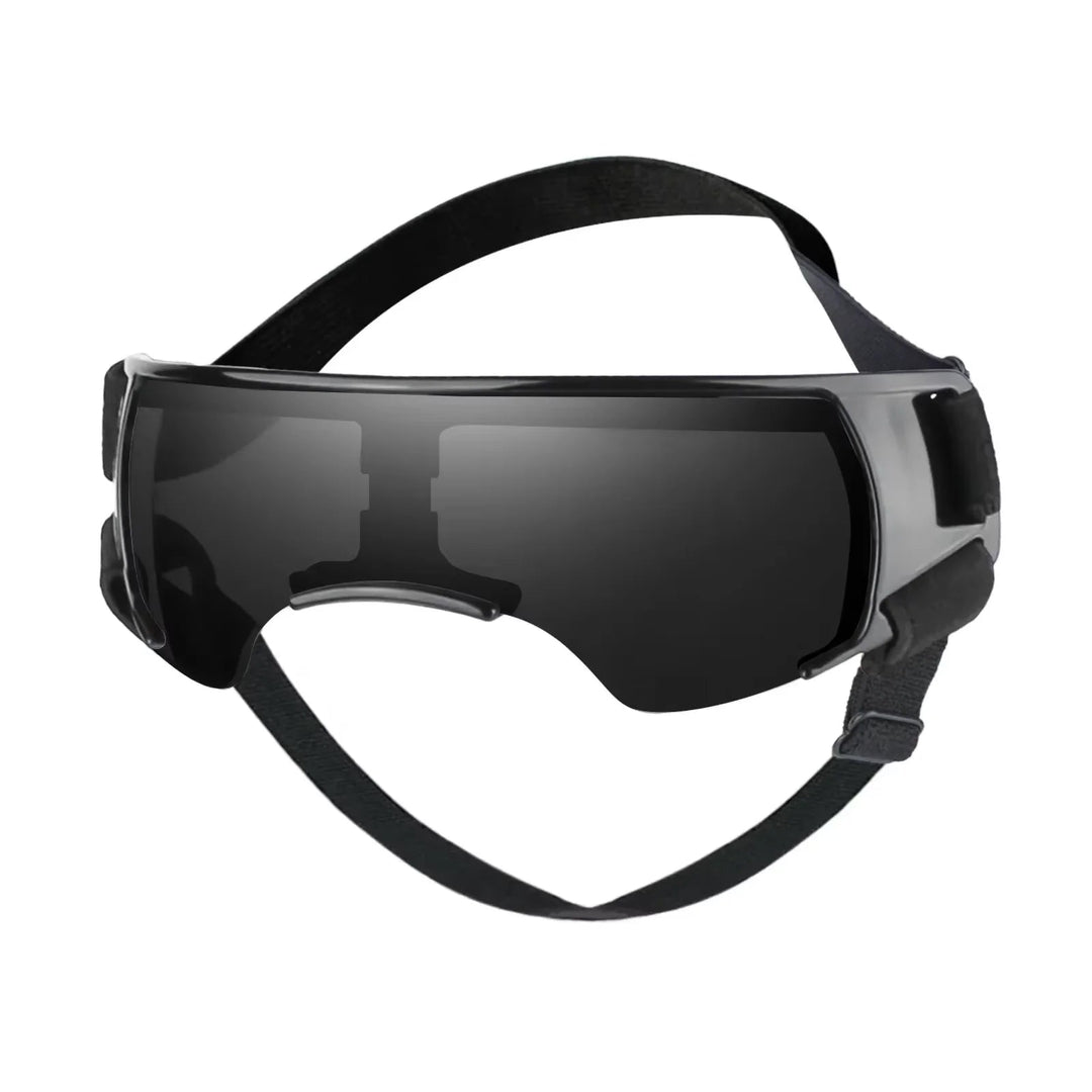 Cat wearing UV protective goggles, stylish pet eyewear for sun protection & travel safety.