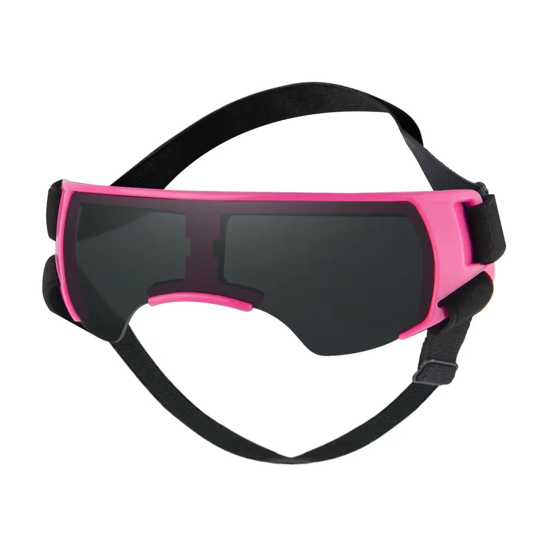 Durable pet eyewear, UV protective goggles for small dogs & cats, ideal for travel & outdoor pet safety.