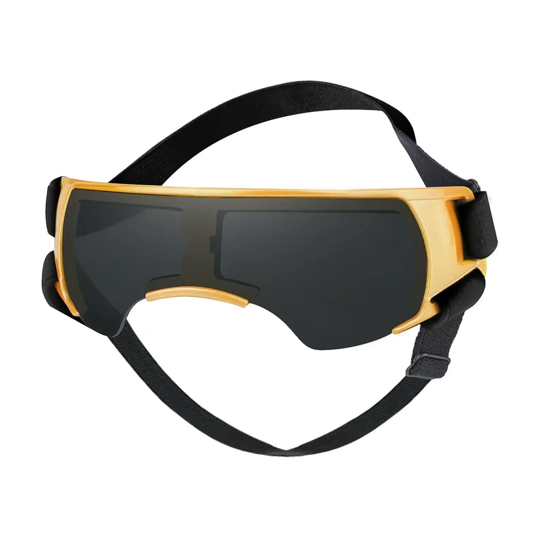 Close-up of small pet UV protective goggles, showcasing eye protection for dogs & cats.