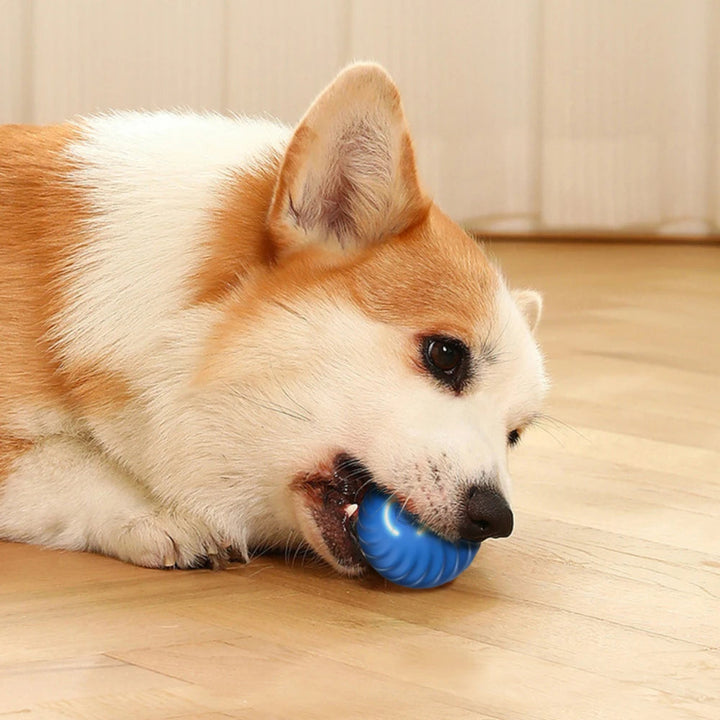 Durable TPR rubber automatic dog toy, blue and yellow, designed for engaging pet playtime