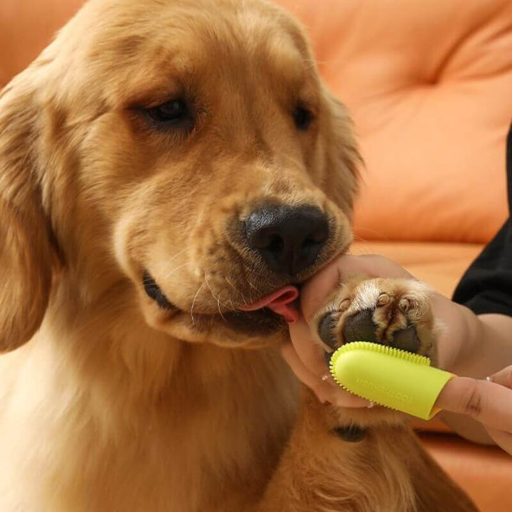 Pet finger toothbrush made from non-toxic material, ensuring safe dog and cat dental care.