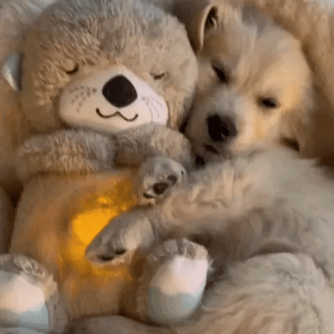 Cute animal plush, a calming cuddle toy for kids & adults, designed for soothing comfort & relaxation.