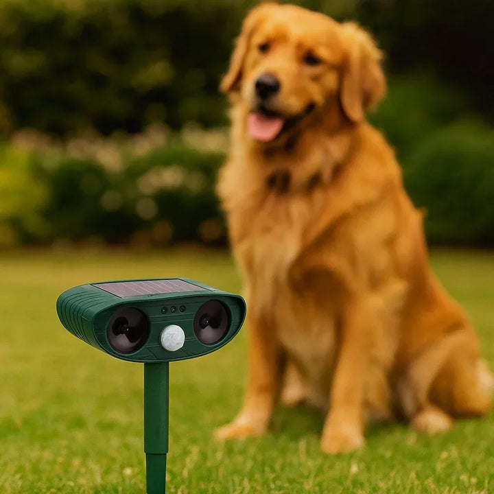 "Solar Tiervertreiber mit LED-Blitz, wetterfest, nutzt Ultraschall zur effektiven Tierabwehr im Garten ohne Tierverletzung."