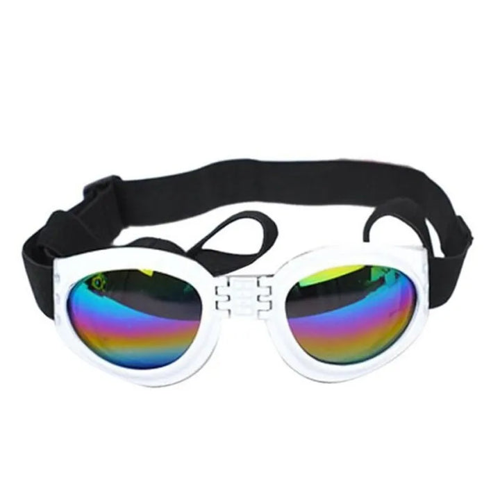 "Stilvolle UV-Schutz Hundebrille in lebhaften Farben, bietet Schutz vor UV-Strahlen, Wind und Staub, bequeme Passform."