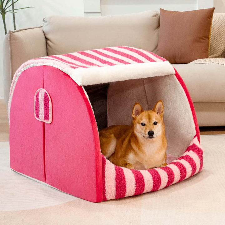 Dog comfortably sleeping on a large striped orthopaedic pet bed, showcasing pet furniture & support